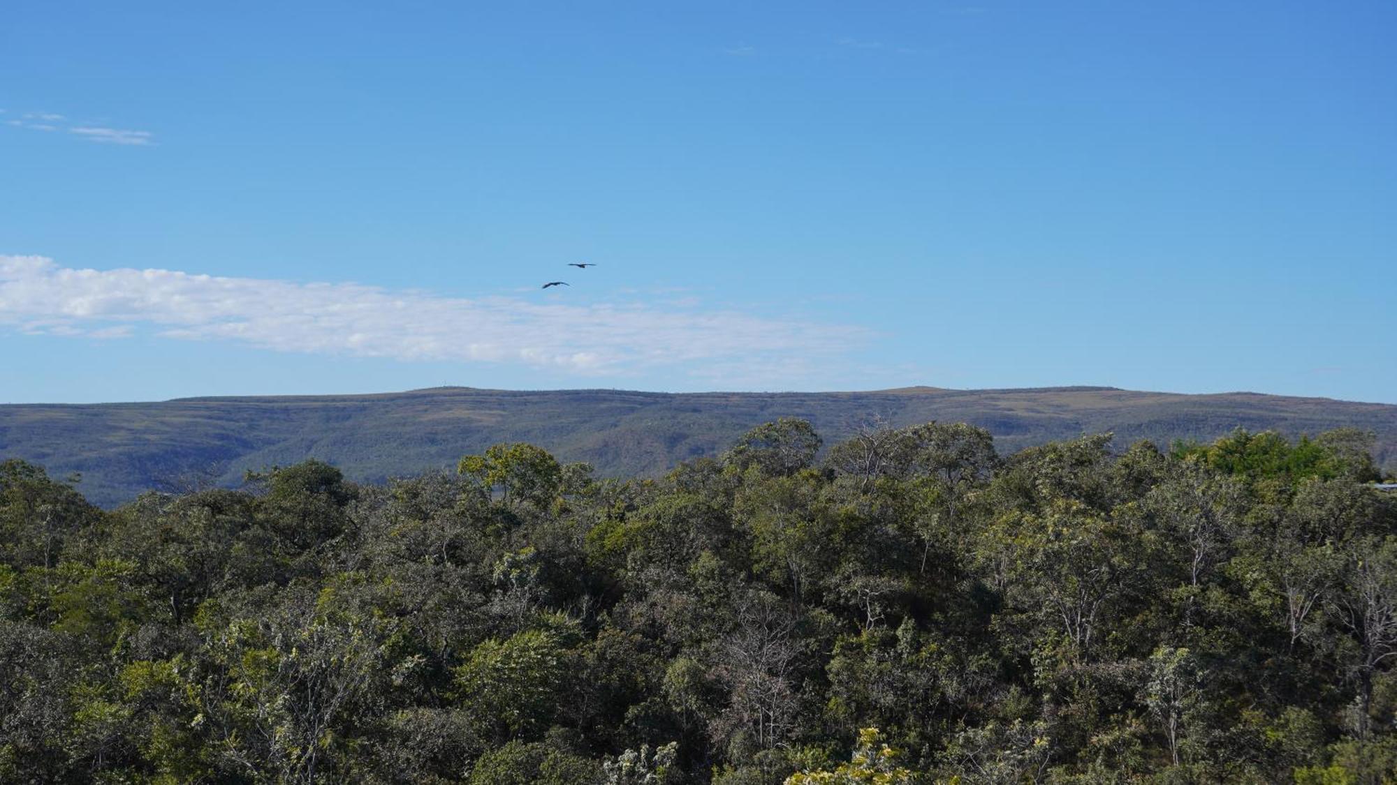 Alto Paraíso de Goiás Vila Flor - Chapada Dos Veadeiros מראה חיצוני תמונה